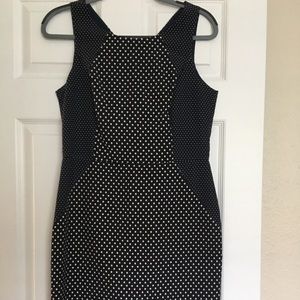 Banana Republic Navy with cream dot dress fitted